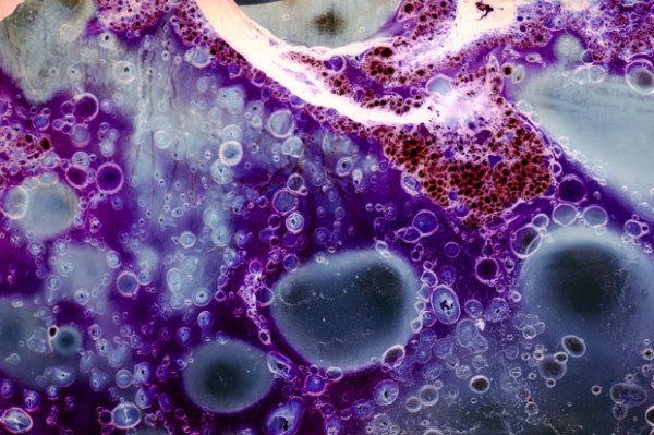 被汽油烧过的底片1